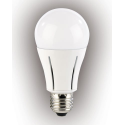 Ampoule LED High-Power 12 W E27 blanc froid