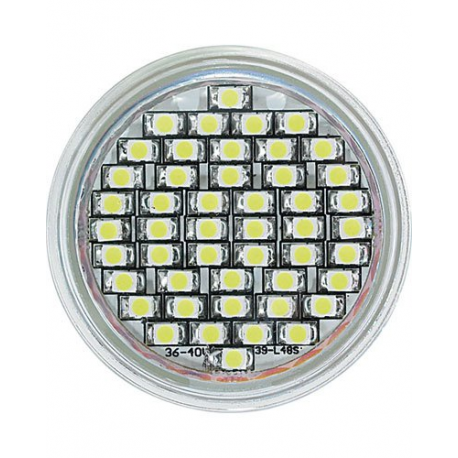 Ampoule 48 LED à intensité réglable E14 blanc froid