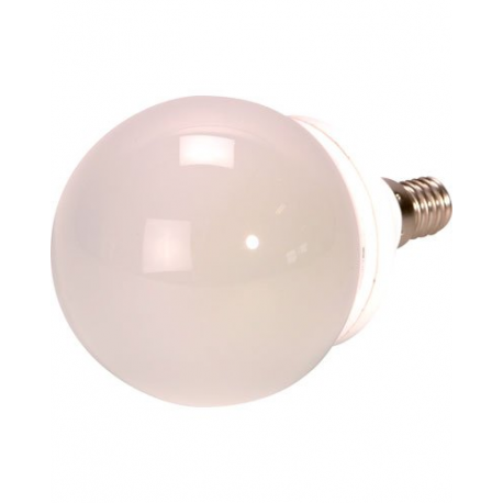 Ampoule 48 LED E14 blanc froid