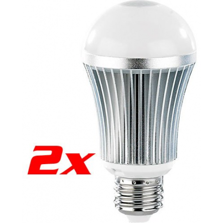 2 Ampoules LED avec capteur PIR blanc froid