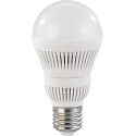 Ampoule 40 LED HigHPower E27 Blanc Froid