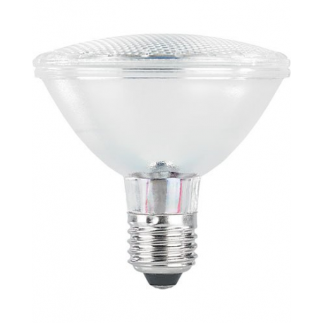 Ampoule Par30 30 LED E27 blanc froid