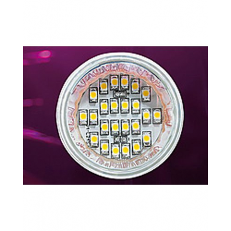 Ampoule 24 LED E27 blanc froid