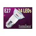 Ampoule 24 LED E27 blanc froid