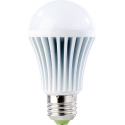 Ampoule LED High-Power 9 W E27 blanc froid