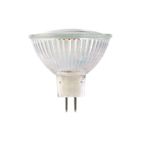 Ampoule 39x led smd, puissance 3,3 w, couleur blanc chaud / froid